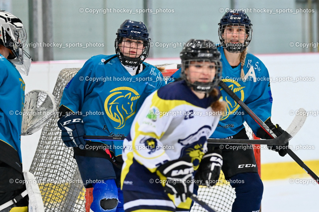 BST_6475 | hockey sports photos, Pressefotos, Sportfotos, hockey247, win 2day icehockeyleague, Handball Austria, Floorball Austria, ÖVV, Kärntner Eishockeyverband, KEHV, KFV, Kärntner Fussballverband, Österreichischer Volleyballverband, Alps Hockey League, ÖFB, 