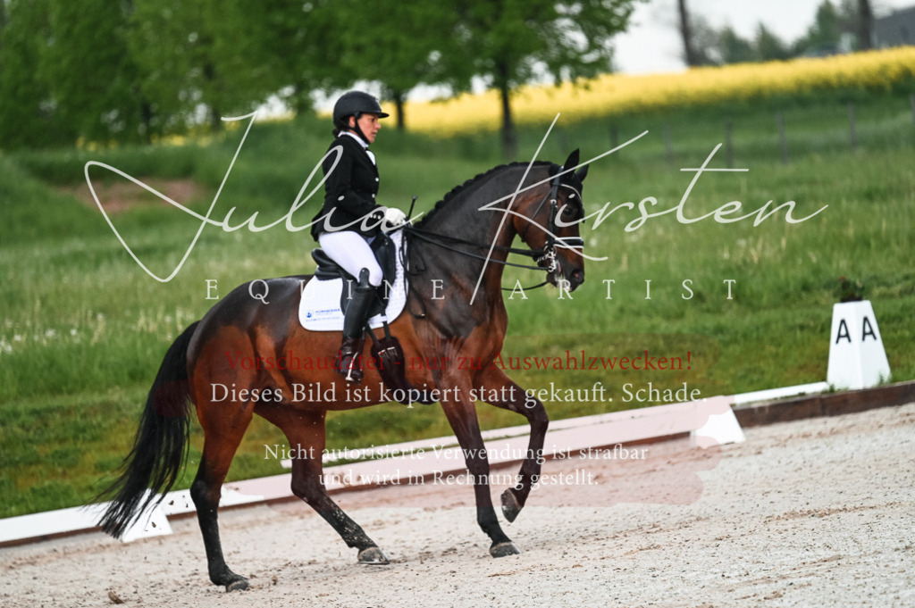 DSC_4211 | Pferde- und Turnierfotografie in Westsachsen. Pferdeportraits, Auftragszeichnungen und intuitive Kunst.