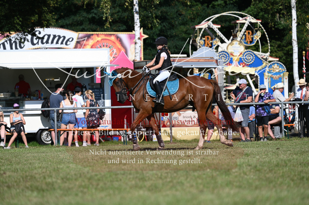 DSC_5316 | Pferde- und Turnierfotografie in Westsachsen. Pferdeportraits, Auftragszeichnungen und intuitive Kunst.