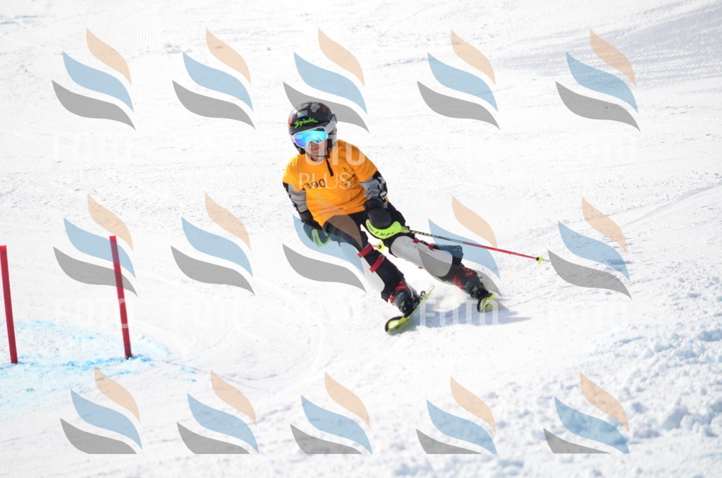 C8783 | holidayphoto