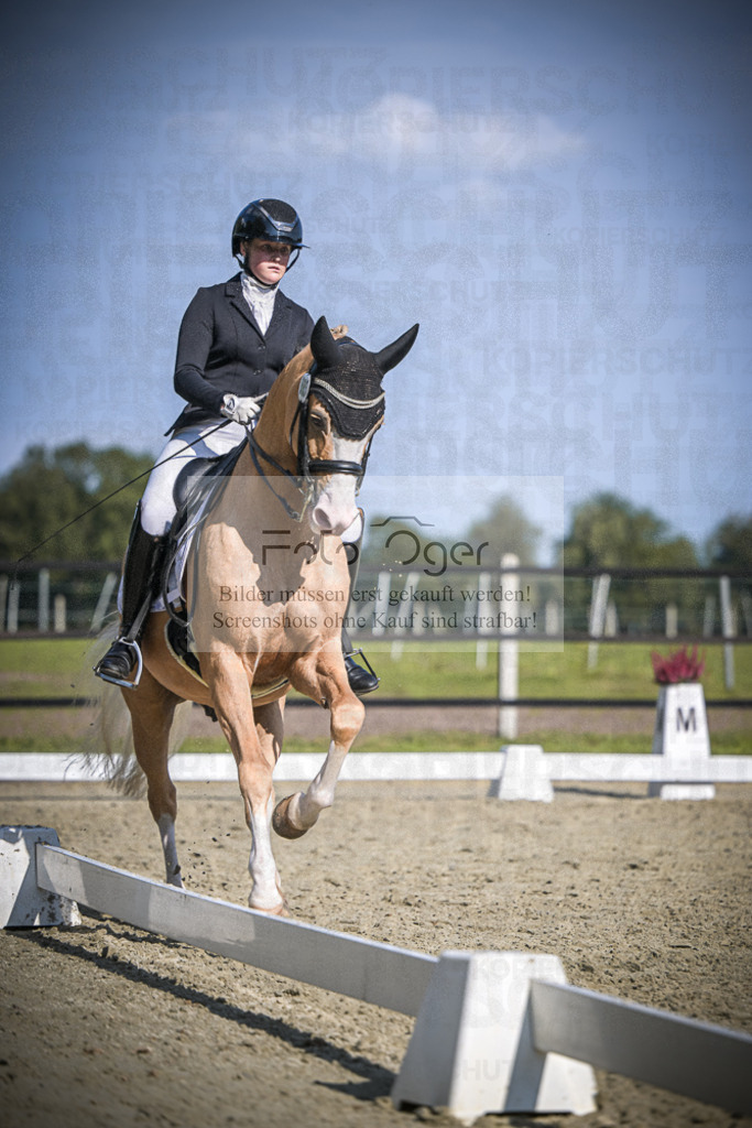 DOS_2023 | Entdecke hochwertige Reitturnierfotos von Foto Oger. Professionell, emotional und authentisch – jetzt Lieblingsmomente im Shop bestellen.Deutschlandweite Turnierfotografie. - Realisiert mit Pictrs.com