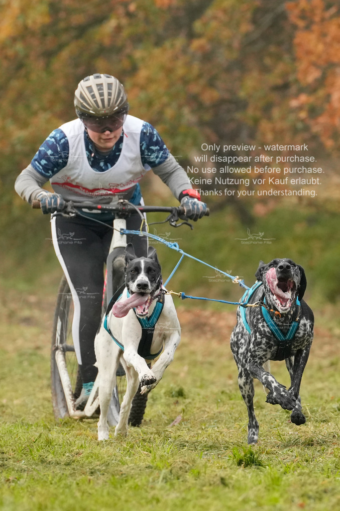 AusschnitteSa-162 | stephaniefillaphotographie - Realisiert mit Pictrs.com