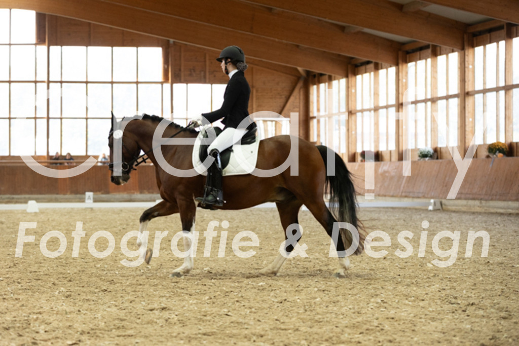 IMG_6175 | Creatify Fotografie