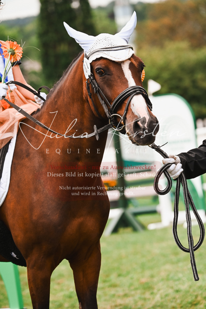 DSC_7486 | Pferde- und Turnierfotografie in Westsachsen. Pferdeportraits, Auftragszeichnungen und intuitive Kunst.