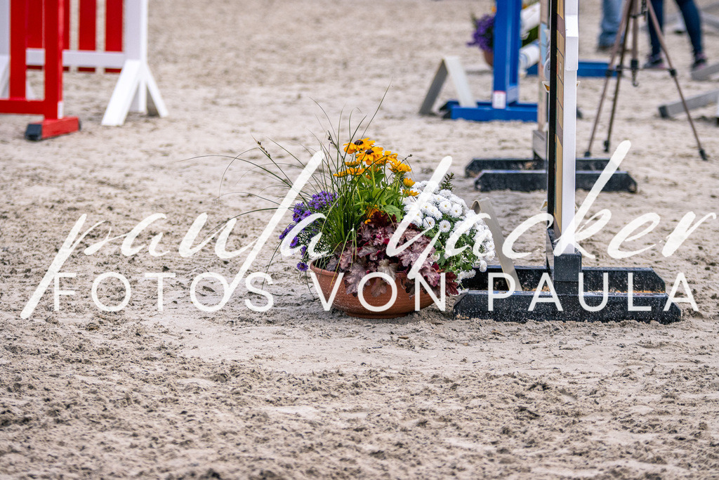 IMG_5981 | Erleben Sie dynamische Sport- und emotionale Tierfotografie in Süddeutschland mit Fotos von Paula. Spezialisiert auf Pferde- und Hundefotografie sowie Sportevents. Kontaktieren Sie mich für einzigartige und ausdrucksstarke Bilder Ihrer besonderen Momente. - Realisiert mit Pictrs.com