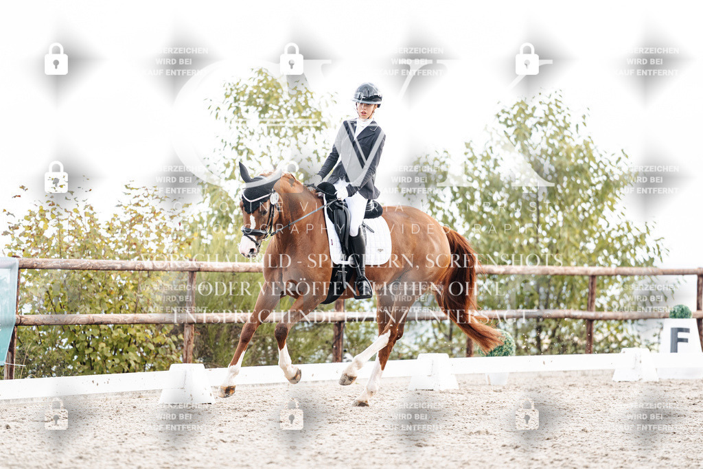 CK900707 | Turnierfotografie Pferdefotografie Trier Rheinland-Pfalz Pferdesport Reitsport Tierfotografie Sportfotografie Pferdevideo Pferdevideografie Equestrianvideography equestrianphotography  - Realisiert mit Pictrs.com