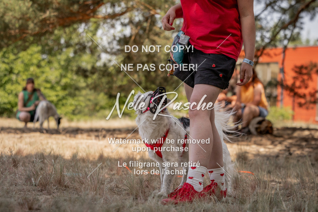 nelerasche_soDD2_399 | nelerasche
