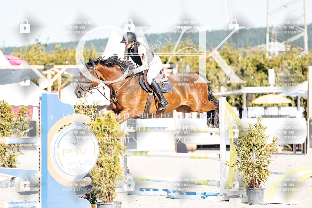 CK904582 | Turnierfotografie Pferdefotografie Trier Rheinland-Pfalz Pferdesport Reitsport Tierfotografie Sportfotografie Pferdevideo Pferdevideografie Equestrianvideography equestrianphotography  - Realisiert mit Pictrs.com