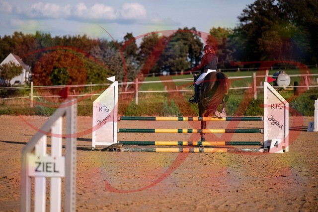 2026_10_03_Siefer-Hof_171906_Z81_17188658 | Professionelle Reitsport-, Turnier- und Eventfotografie von Robert Broda. Galerien mit ausgewählten und bearbeiteten Bildern direkt online ansehen und bestellen.