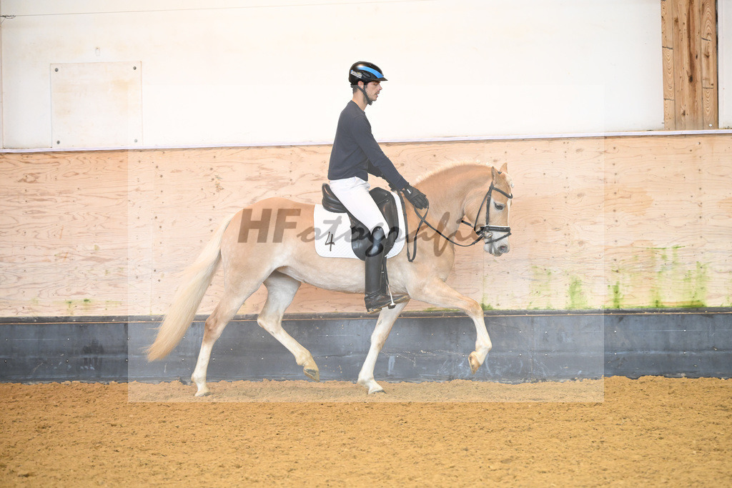 Kat-Nr. 4 Finja_Oswald_6222100 | hf-fotografie - Realisiert mit Pictrs.com