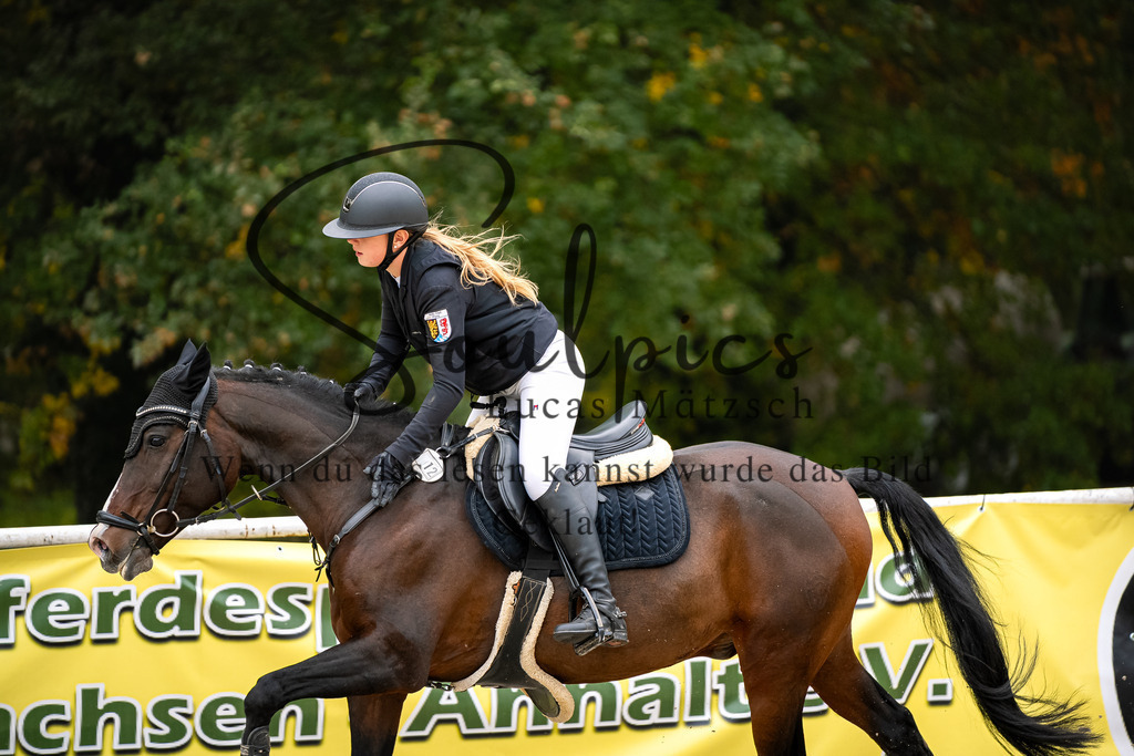 A7V08253 | Pferdefotograf