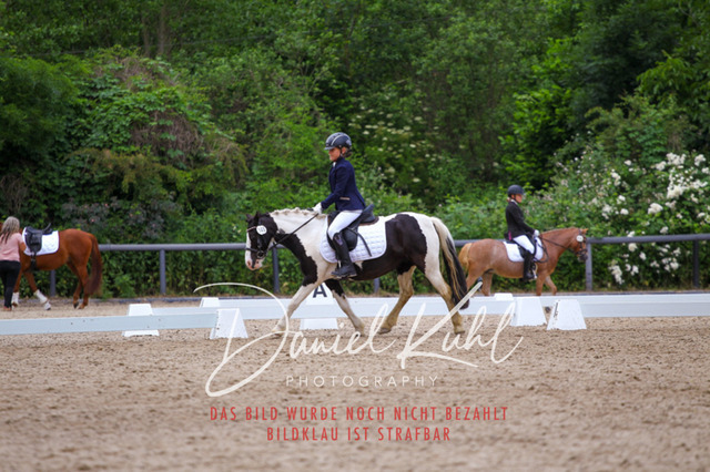 DKP46251 | Turnierfotos kaufen im Webshop von Daniel Kuhl Photography – entdecke professionelle Reitsportfotos aus Turnieren & Events. Hochwertige Turnierbilder online bestellen & sichern. Jetzt Fotos von Reitsportturnieren kaufen!