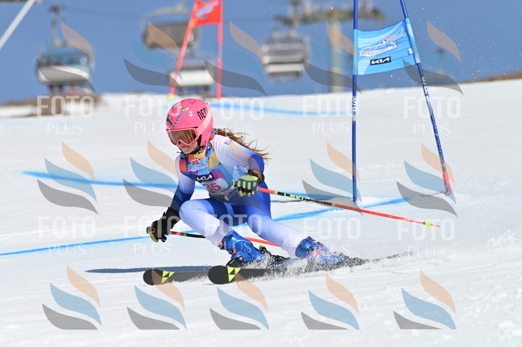 BGV_8251 | holidayphoto