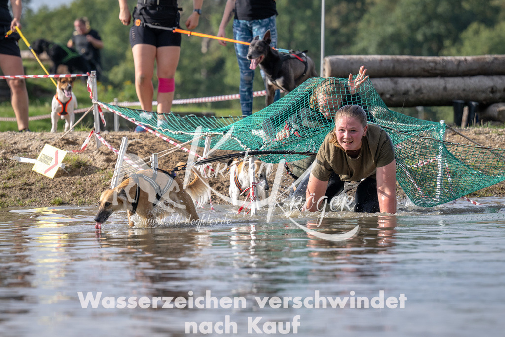 1150_ZZ94346 | kk-dogfotos