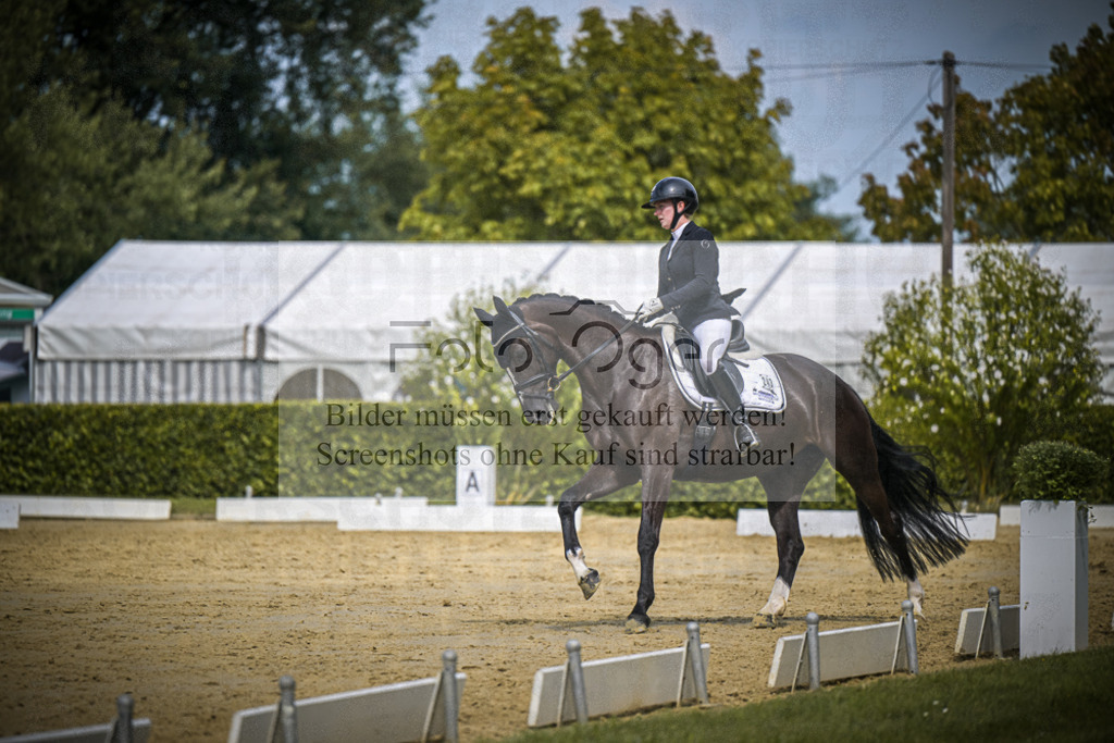 DOS_2758 | Entdecke hochwertige Reitturnierfotos von Foto Oger. Professionell, emotional und authentisch – jetzt Lieblingsmomente im Shop bestellen.Deutschlandweite Turnierfotografie. - Realisiert mit Pictrs.com