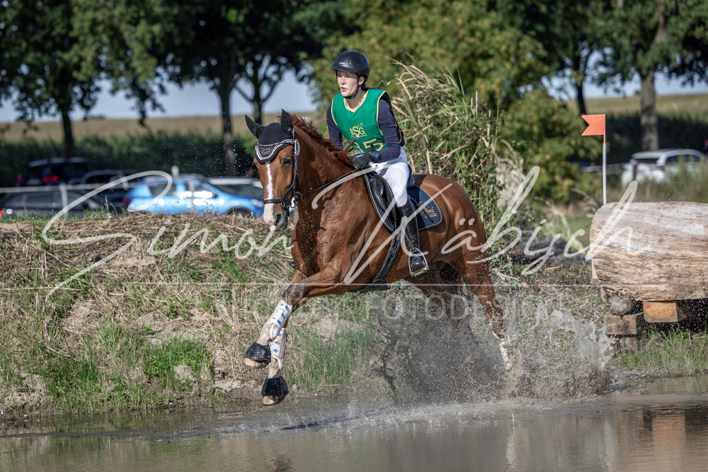 20250907-_3LI3654 | Tierfotografie Pferde, Hunde, Katzen, Haustiere.
Turnierfotografie Reitturniere, Reiten, Springreiten, Dressur in Hanau, dem Main-Kinzig-Kreis und dem Rhein-Main- Gebiet um Frankfurt