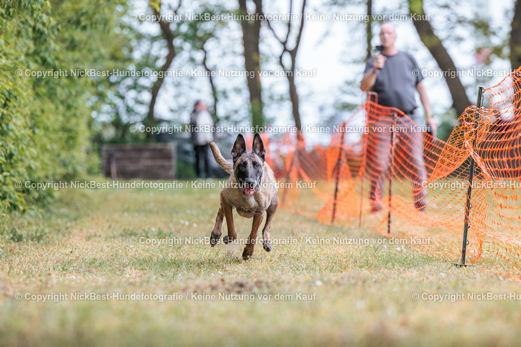 Sage Hunderennen Frühlingsfest-2026-Nickbest-Hundefotografie-0350 | Dein Hund! Dein Moment! Deine Erinnerungen! Hundefotografie in Bremen Blumenthal. Ich fange die besonderen Momente deines Vierbeiners ein – ob Indoor mit Blitzanlage oder in der freien Natur. Sicher dir dein Moment und dein Termin für eure Erinnerungen.