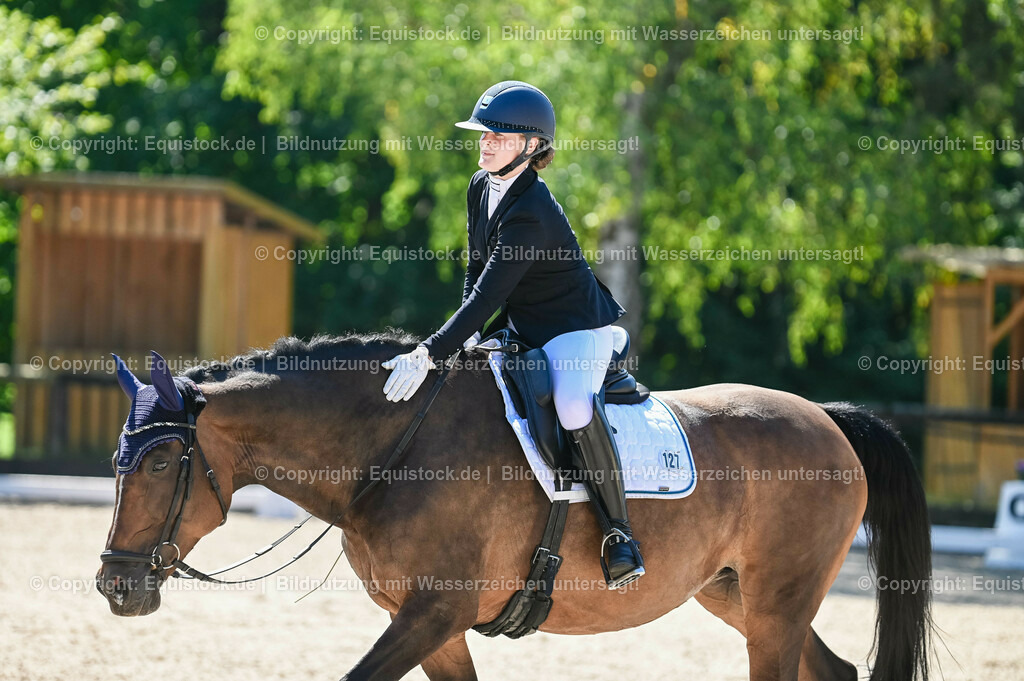20230908_06_Dressur-L-Trense_0503 | equistock