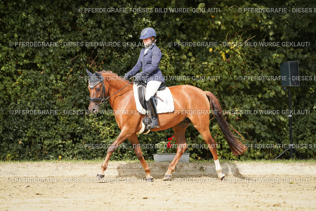 DSC02111 | Pferdegrafie