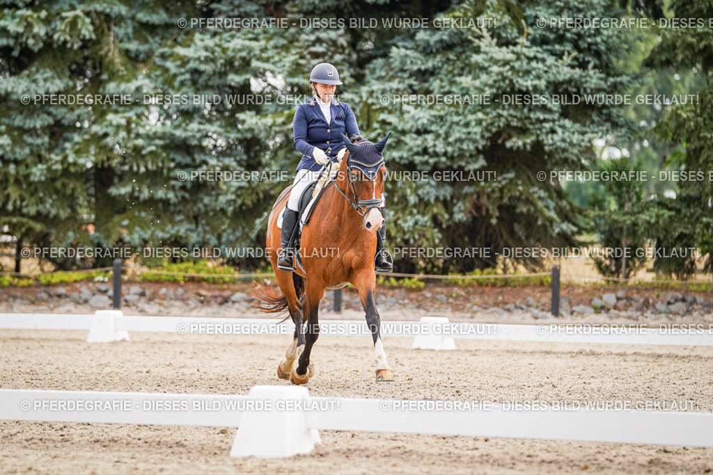 DSC02207 | Pferdegrafie