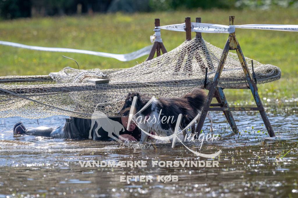 1246_ZZ91765 | kk-dogfotos