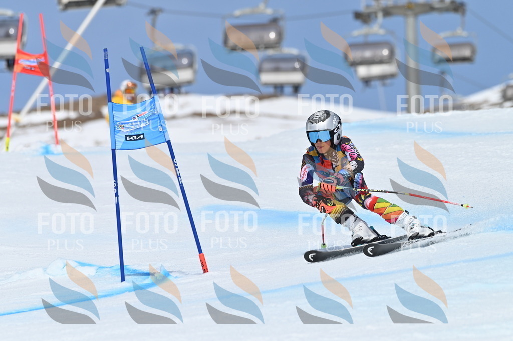 BGV_1008 | holidayphoto