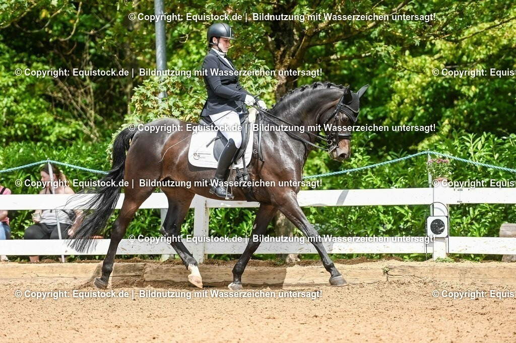 20230716_01_Dressurprüfung Kl.M_0114 | equistock
