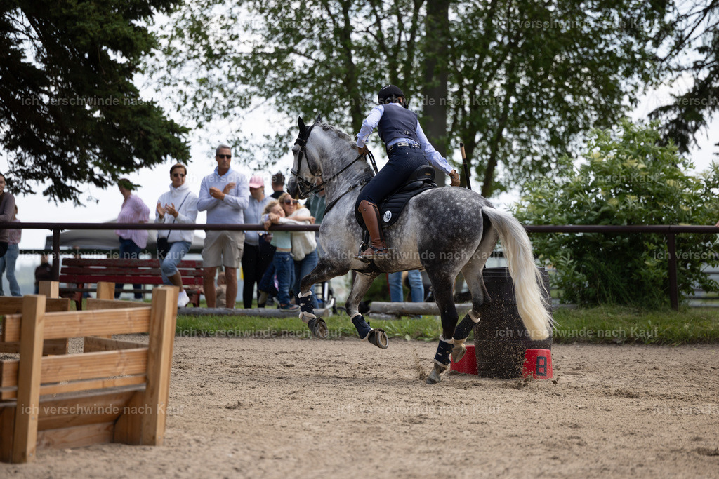Masterclass_stoibphotography_C2_C8362.CR3 | working equitationturnier fotograf videograf stoibphotography marixx film working equitation deutschland reitsport turnierfotografie eventfotografie equestrian events