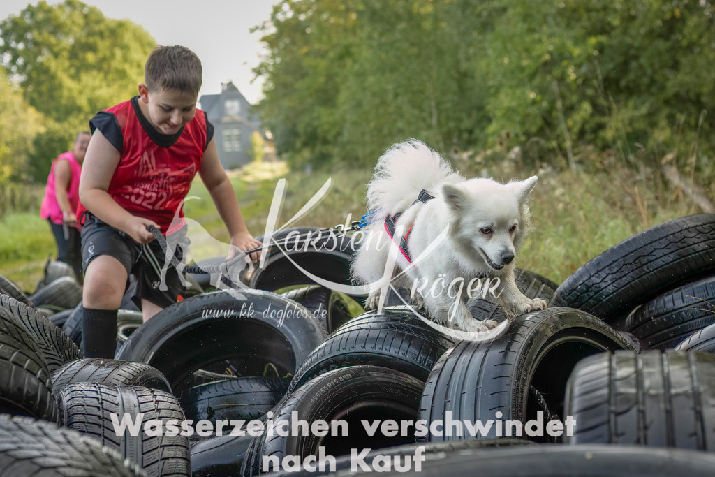 1032_ZZ94673-Bearbeitet-2 | kk-dogfotos