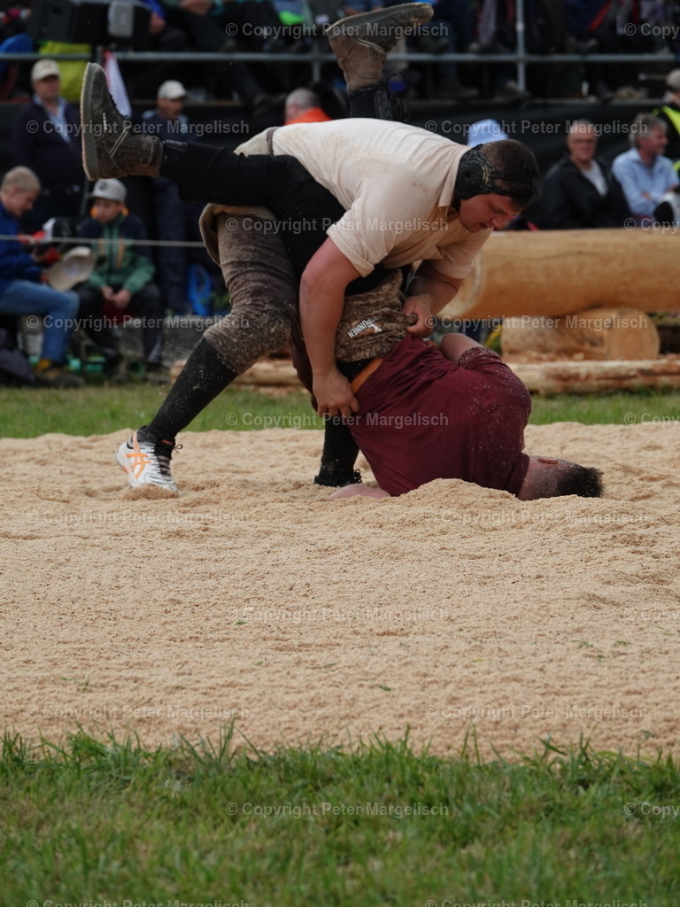 DSC05375 | Schwingen - Realisiert mit Pictrs.com