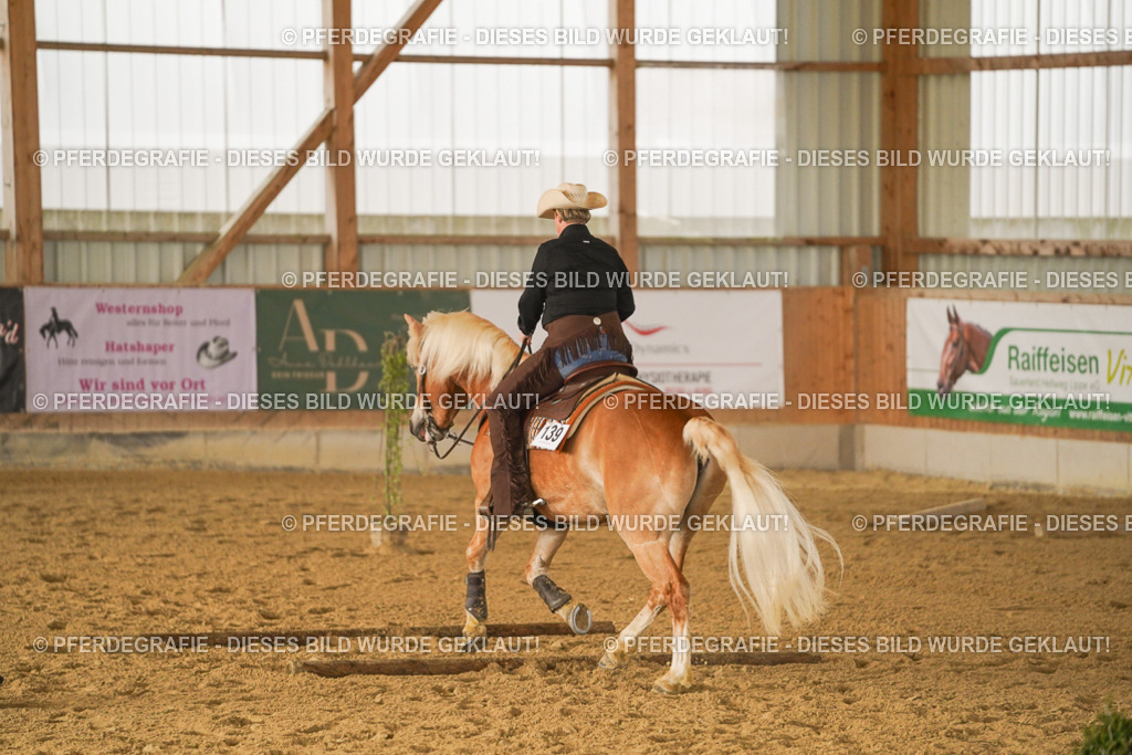 DSC02831 | Pferdegrafie