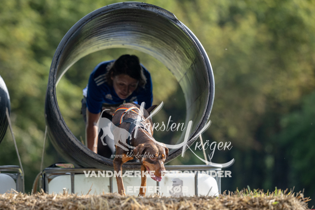 0925_ZZ90433 | kk-dogfotos