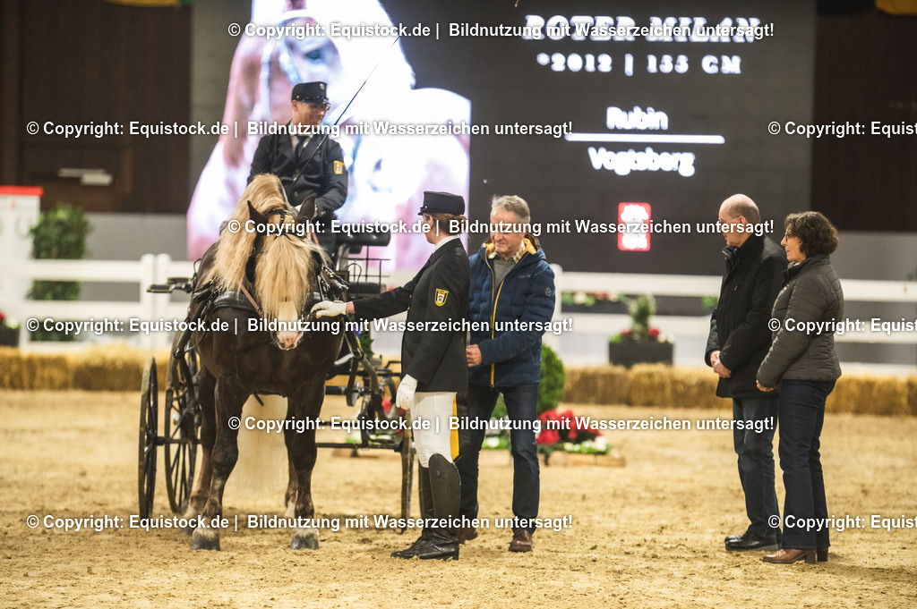 20240302_Hengstvorstellung_Marbach_TOMsPiC_0634-2 | equistock