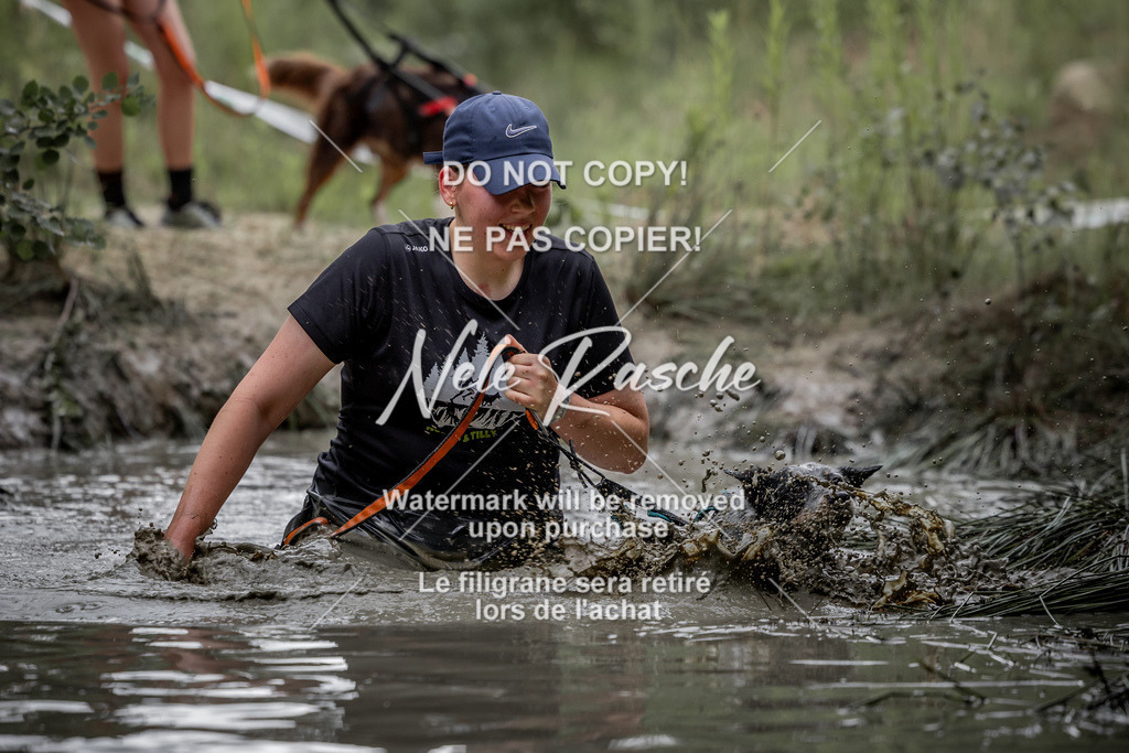 nelerasche_so0800-0930_534 | nelerasche