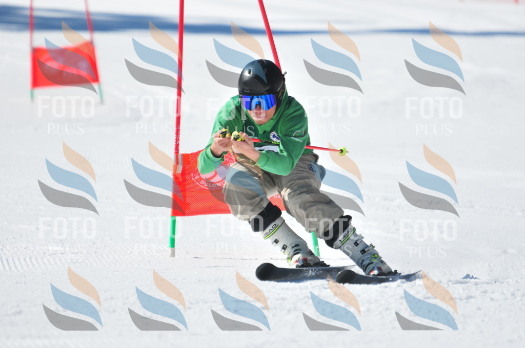 C3508 | holidayphoto