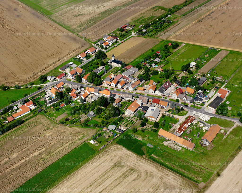 2589368 | Kleinkeula, Menteroda