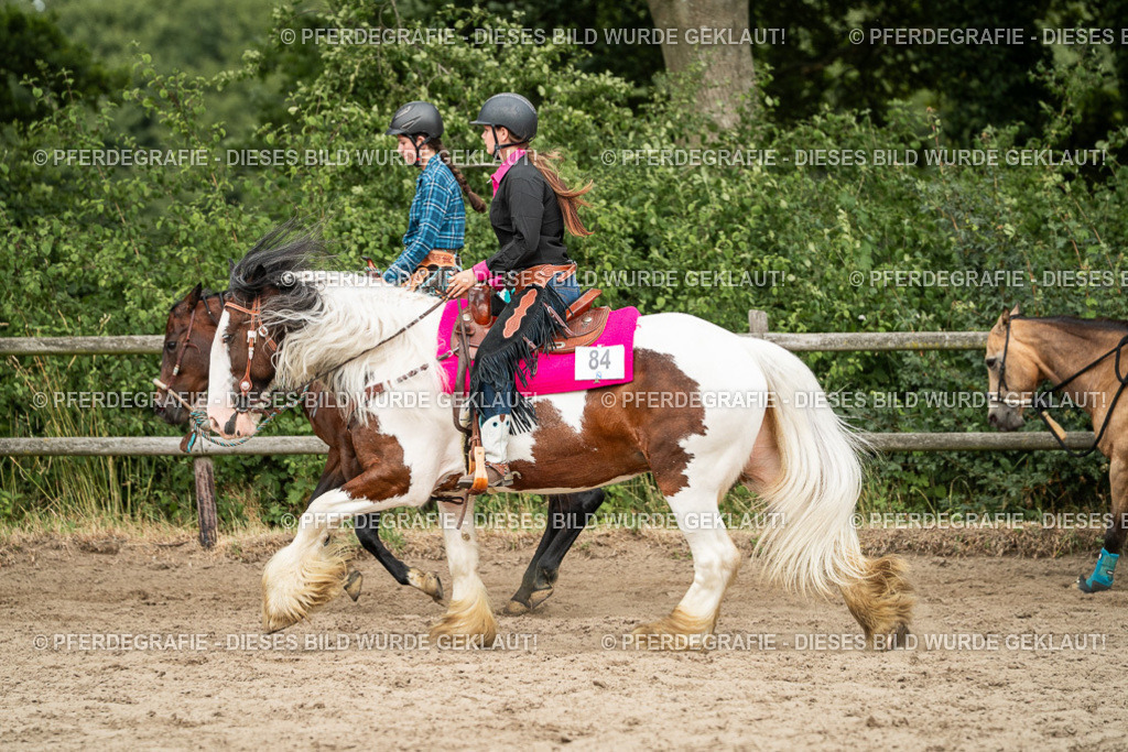 DSC03860 | Pferdegrafie