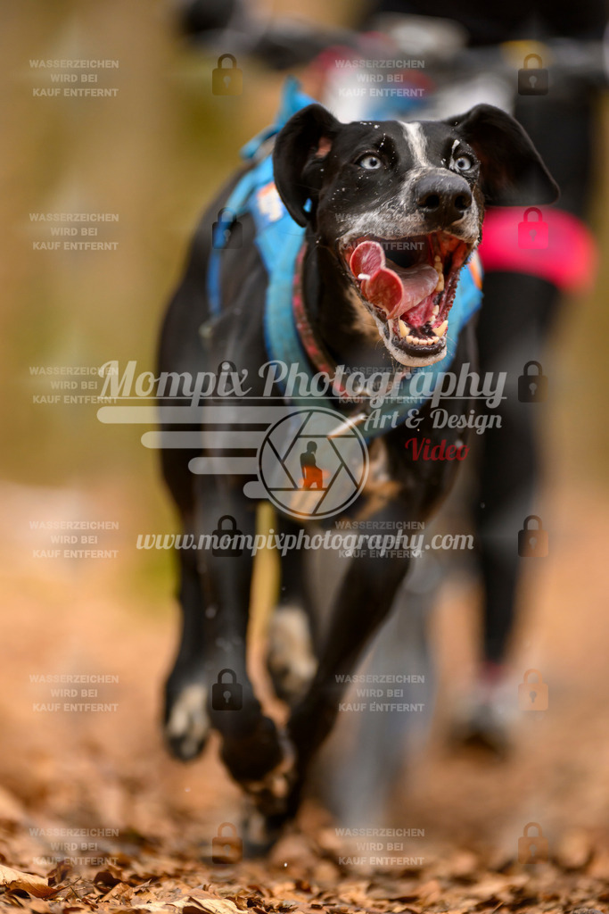 MompixPhotography_Habay2025_SA_Bike-119 | mompixphotography