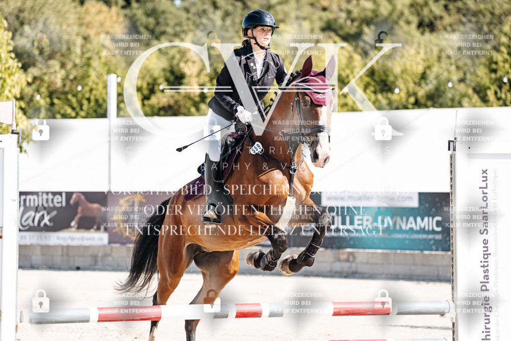 CK905045 | Turnierfotografie Pferdefotografie Trier Rheinland-Pfalz Pferdesport Reitsport Tierfotografie Sportfotografie Pferdevideo Pferdevideografie Equestrianvideography equestrianphotography  - Realisiert mit Pictrs.com