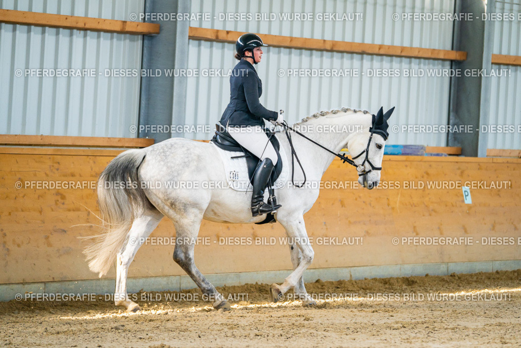 DSC06254 | Pferdegrafie