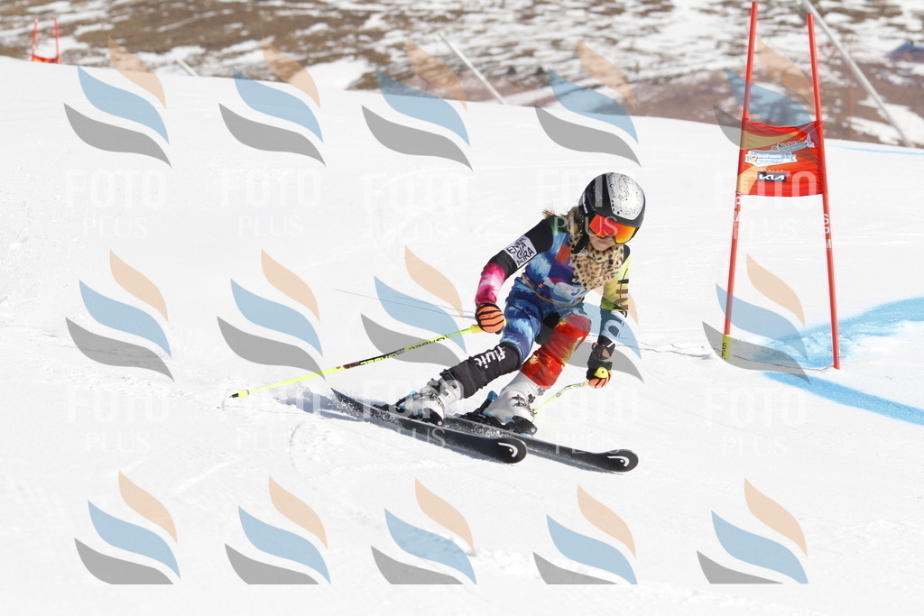 _U3G8571 | holidayphoto