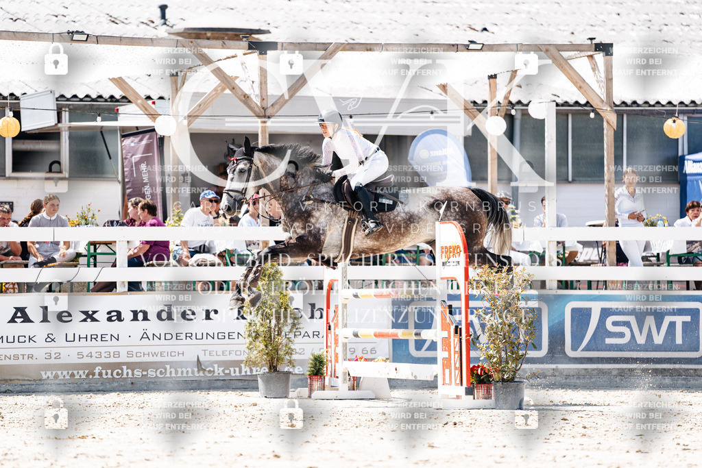 CK900013 | Turnierfotografie Pferdefotografie Trier Rheinland-Pfalz Pferdesport Reitsport Tierfotografie Sportfotografie Pferdevideo Pferdevideografie Equestrianvideography equestrianphotography  - Realisiert mit Pictrs.com