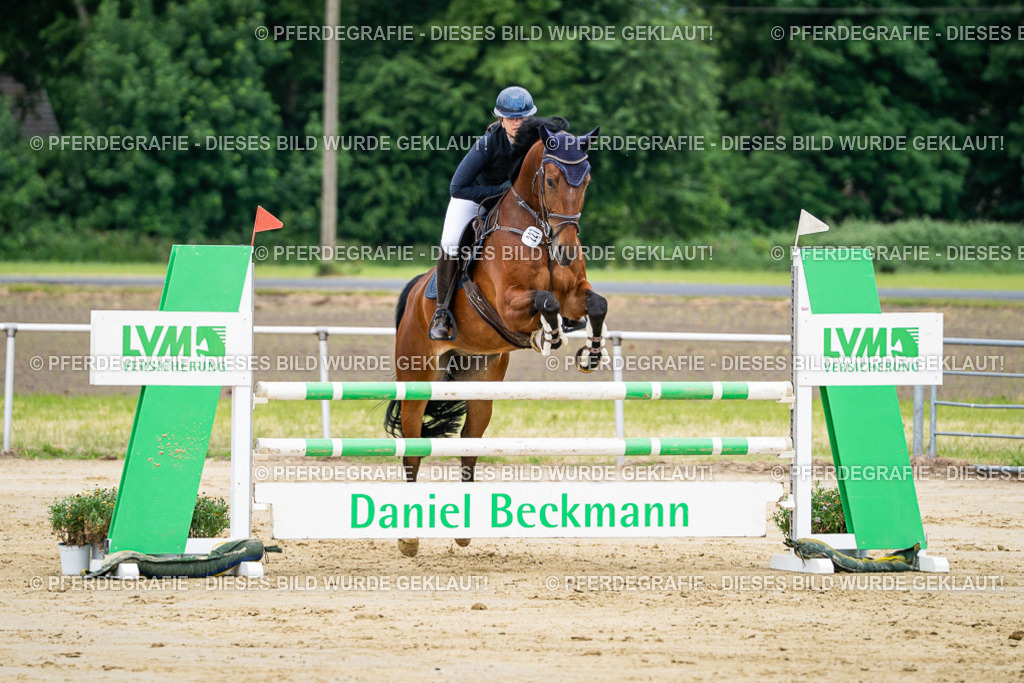 DSC03969 | Pferdegrafie