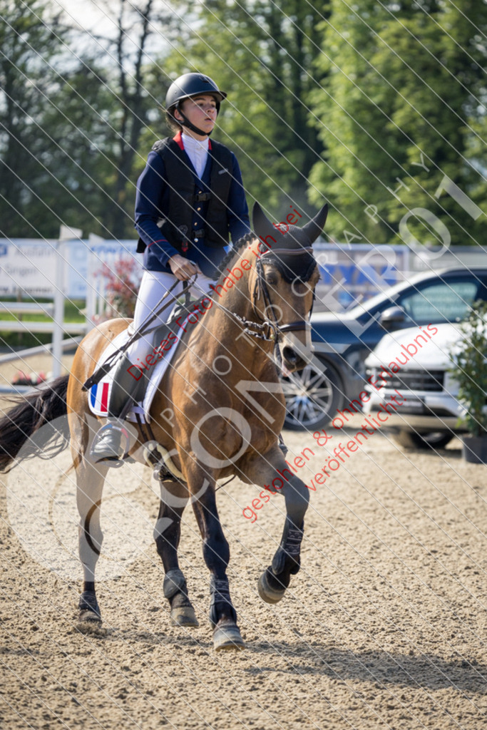 CON_0264 | Sport-, Event- und Tierfotos in Profiqualität. Einfach auswählen, bestellen und herunterladen. Dein Moment – perfekt festgehalten.