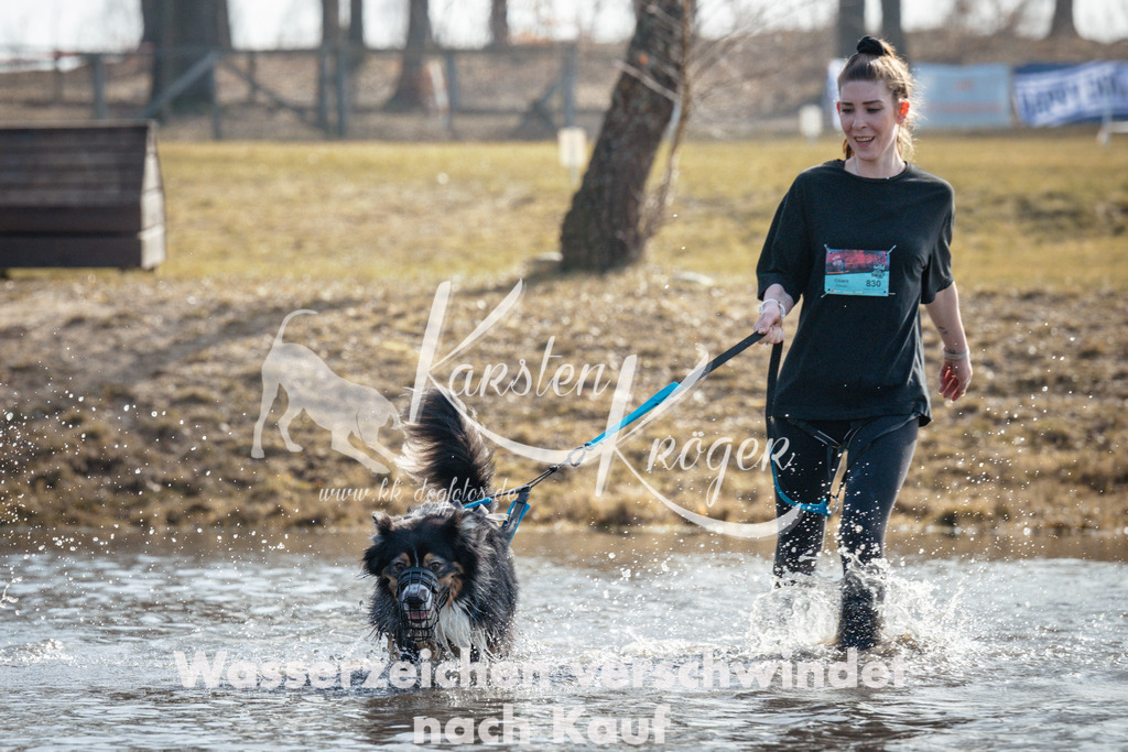 1133_ZZ95529 | kk-dogfotos