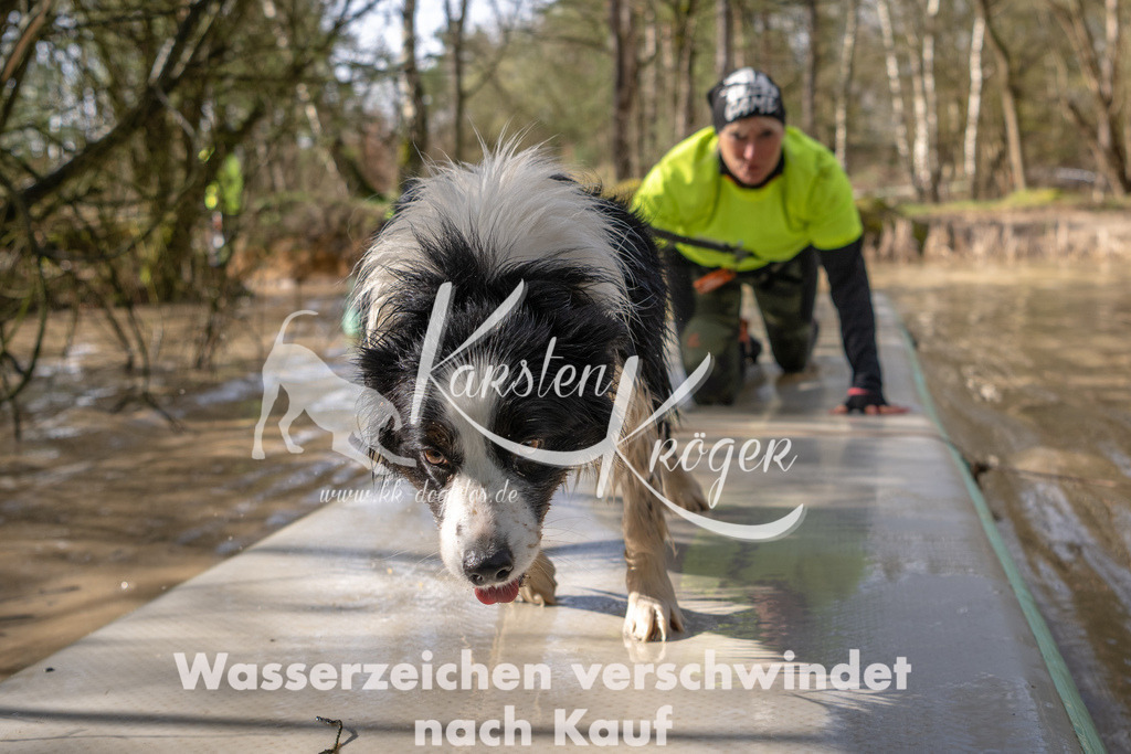0959_ZZ92108 | kk-dogfotos