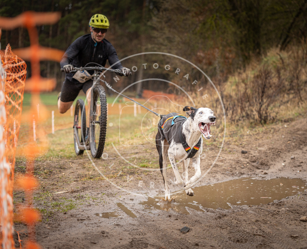 DV3A9403 | Hundefotografie, Tierfotograf, Pfotenfotografie, Fotoshooting Hund, Hunde Portrait, Hundesport, Hundeportraits, Heideshooting, Hunde, Sportfotograf, Hundefotograf, Turnierhundsport, THS,  - Realisiert mit Pictrs.com