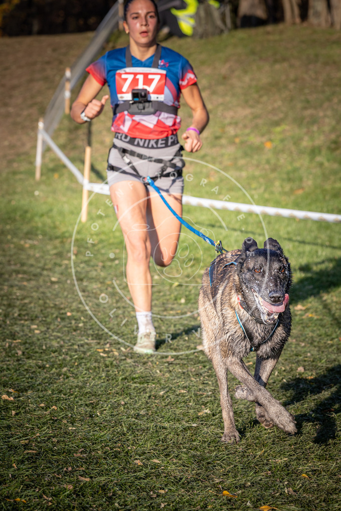 CaniXpix_0L8A9625 | Hundefotografie, Tierfotograf, Pfotenfotografie, Fotoshooting Hund, Hunde Portrait, Hundesport, Hundeportraits, Heideshooting, Hunde, Sportfotograf, Hundefotograf, Turnierhundsport, THS,  - Realisiert mit Pictrs.com