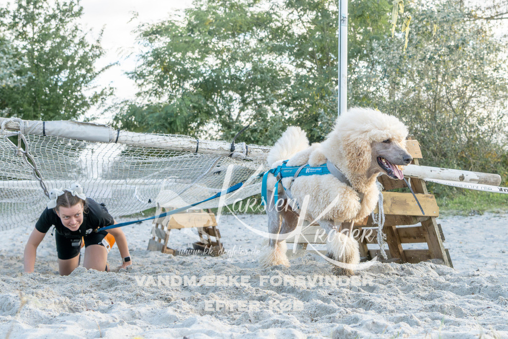 1643_ZZ98830 | kk-dogfotos