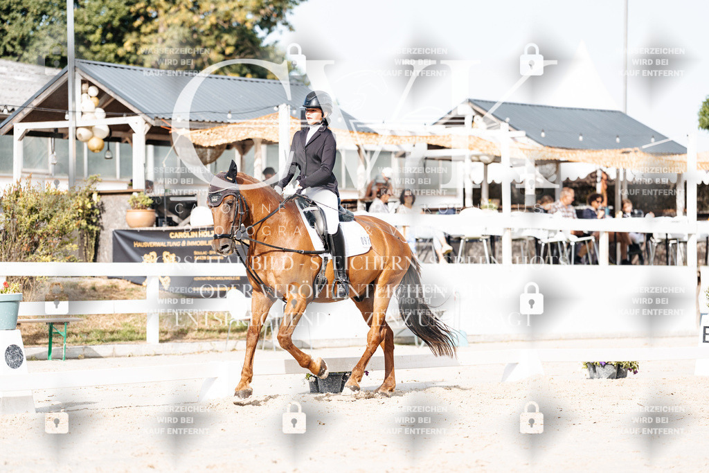 CK905189 | Turnierfotografie Pferdefotografie Trier Rheinland-Pfalz Pferdesport Reitsport Tierfotografie Sportfotografie Pferdevideo Pferdevideografie Equestrianvideography equestrianphotography  - Realisiert mit Pictrs.com